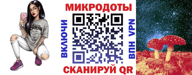 где найти наркотики  Шуя  Псилоцибиновые грибы прущие грибы 